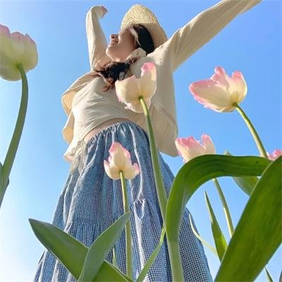 顾少，夫人她不要你了